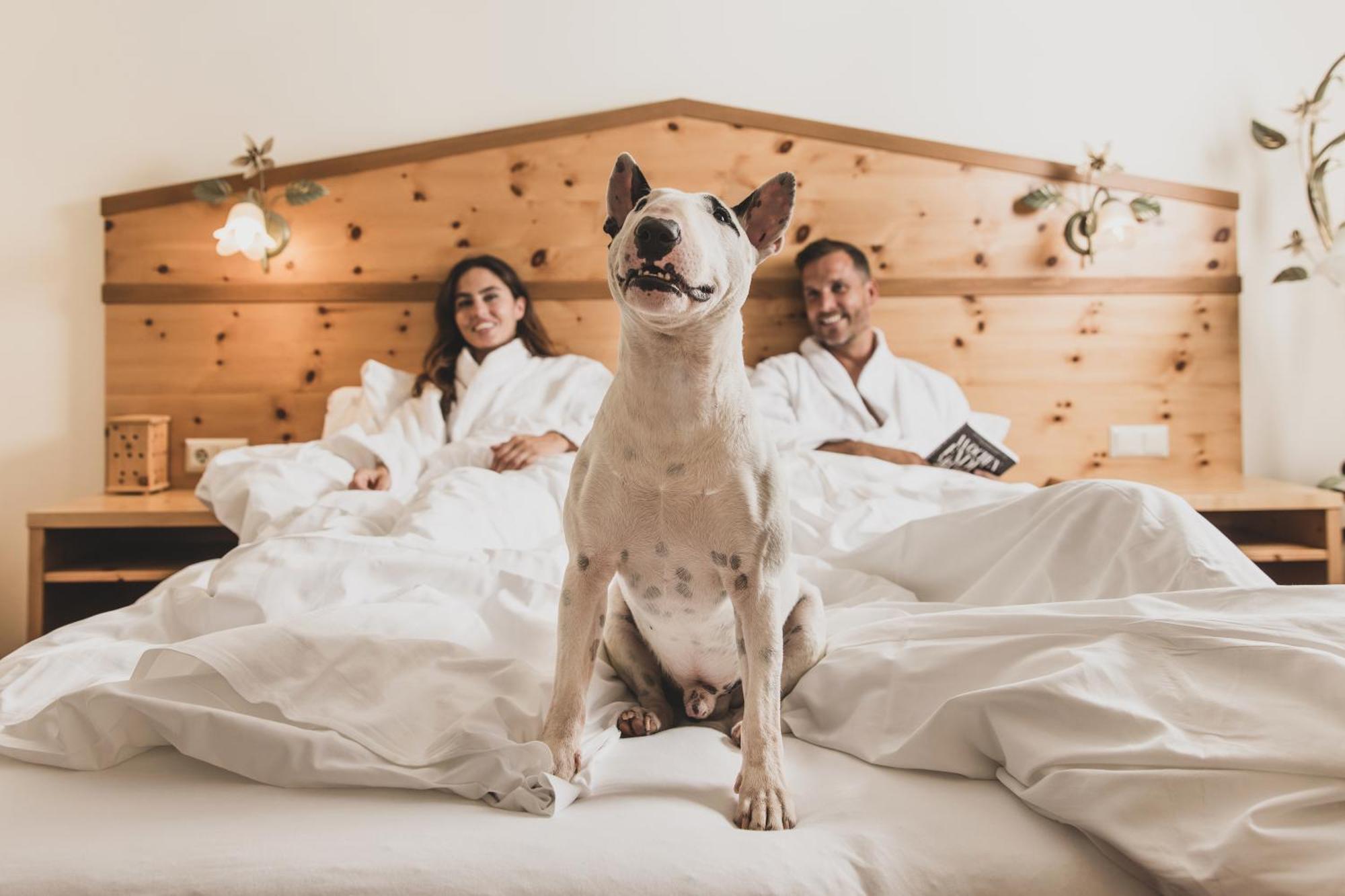 Seehotel Jaegerwirt تراشر هوهه المظهر الخارجي الصورة